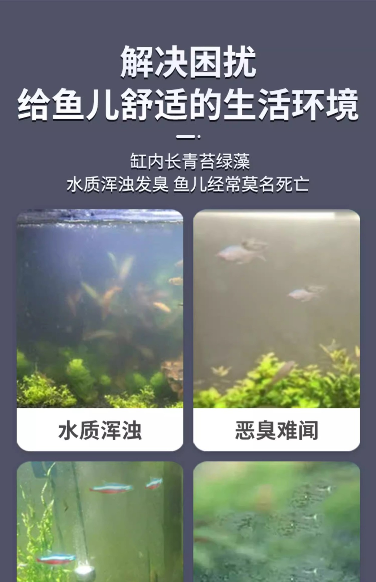 详情4.jpg