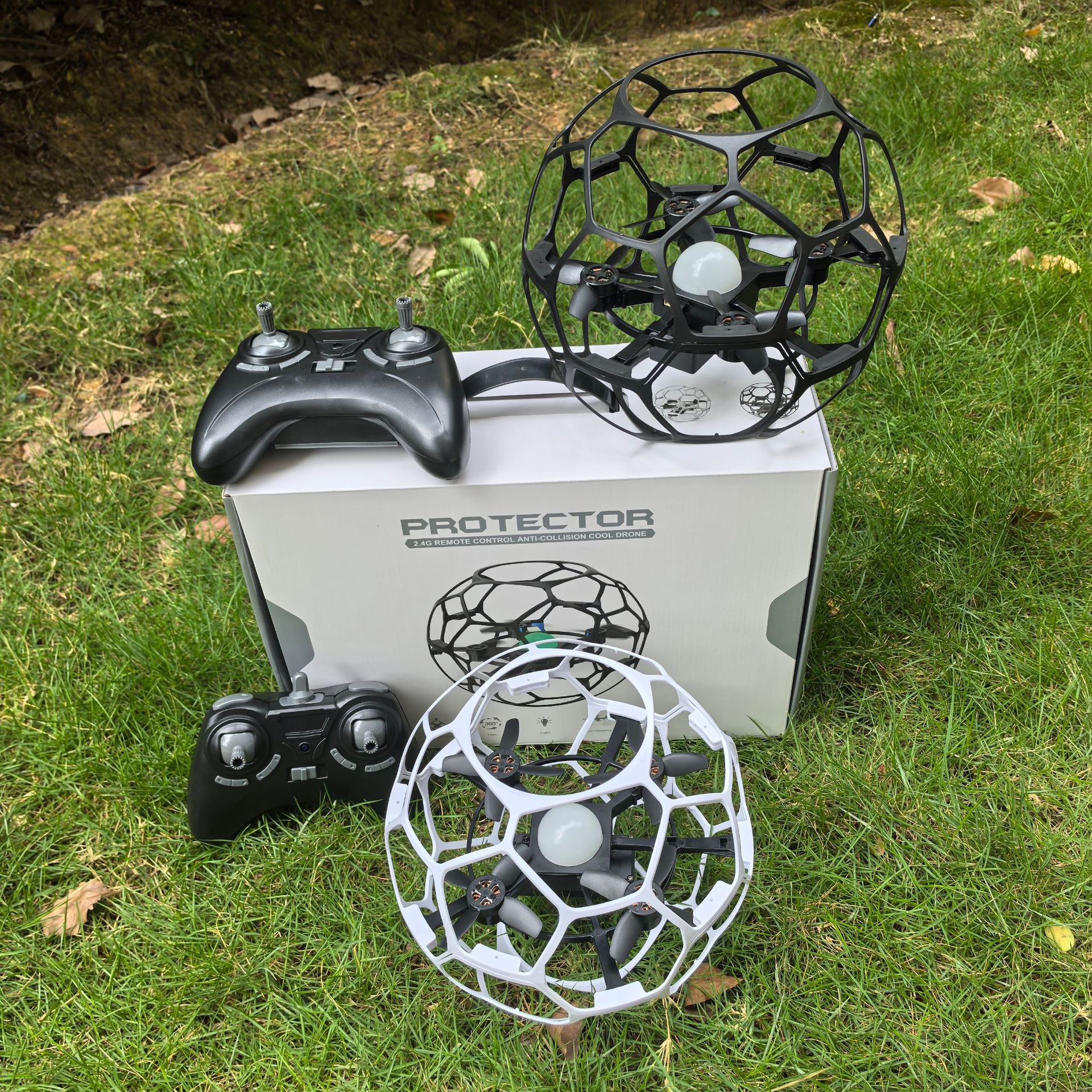 微信图片_20250530085801