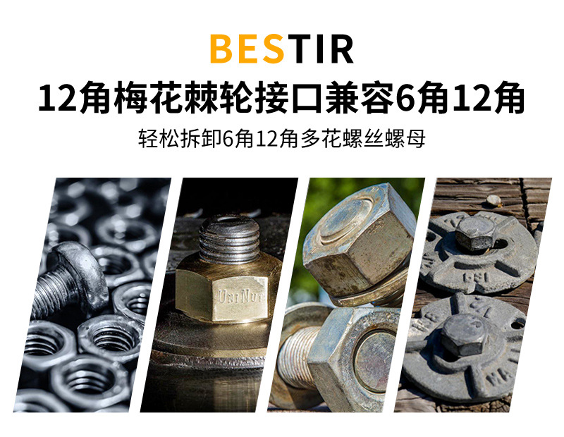 黑双头棘轮_15.jpg