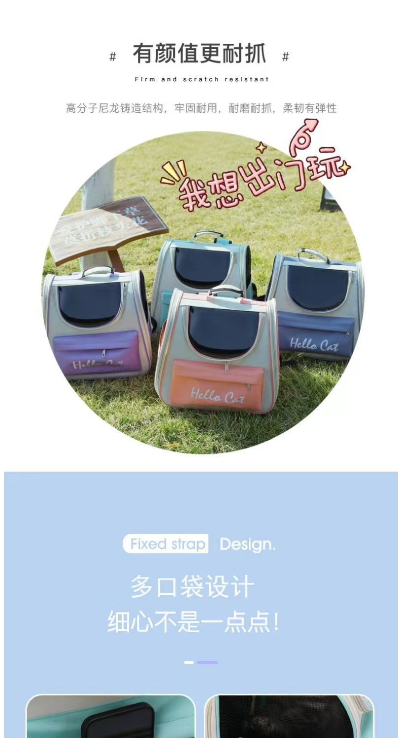 bb3aee37-e5f5-4027-935d-991618e8b936.jpe