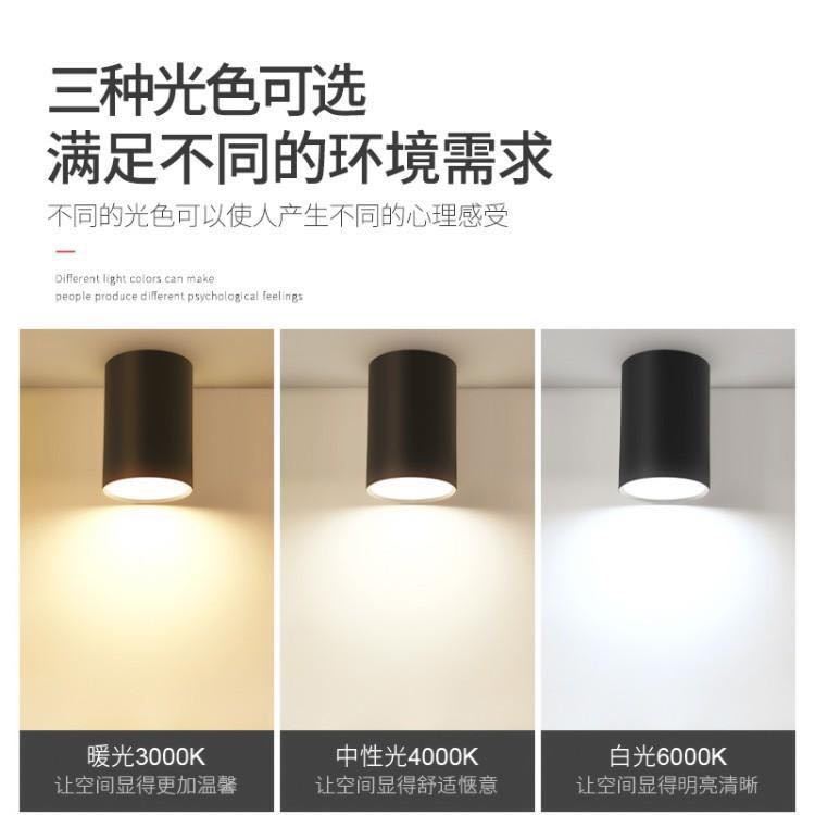 6745a073-8f95-4608-a172-59c412417635.jpe