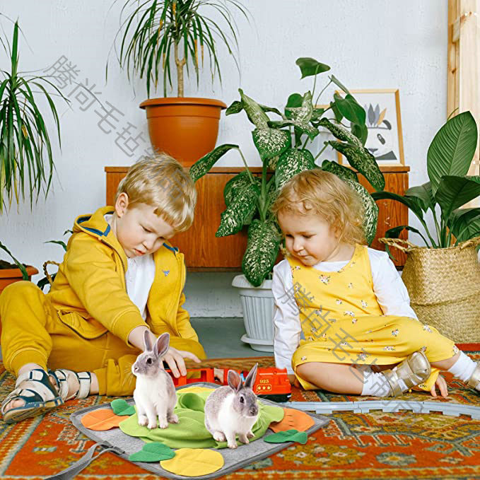 81GHlGoZNiL._AC_SX679_