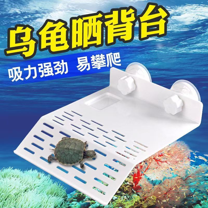 d1c60e3f-657d-41f4-9b7c-abb2de7f27ca.jpe