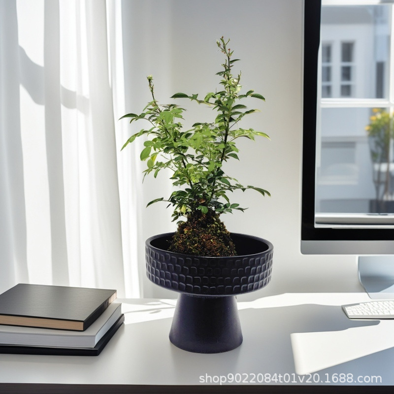 8024e28db6659923379f76e73004ea