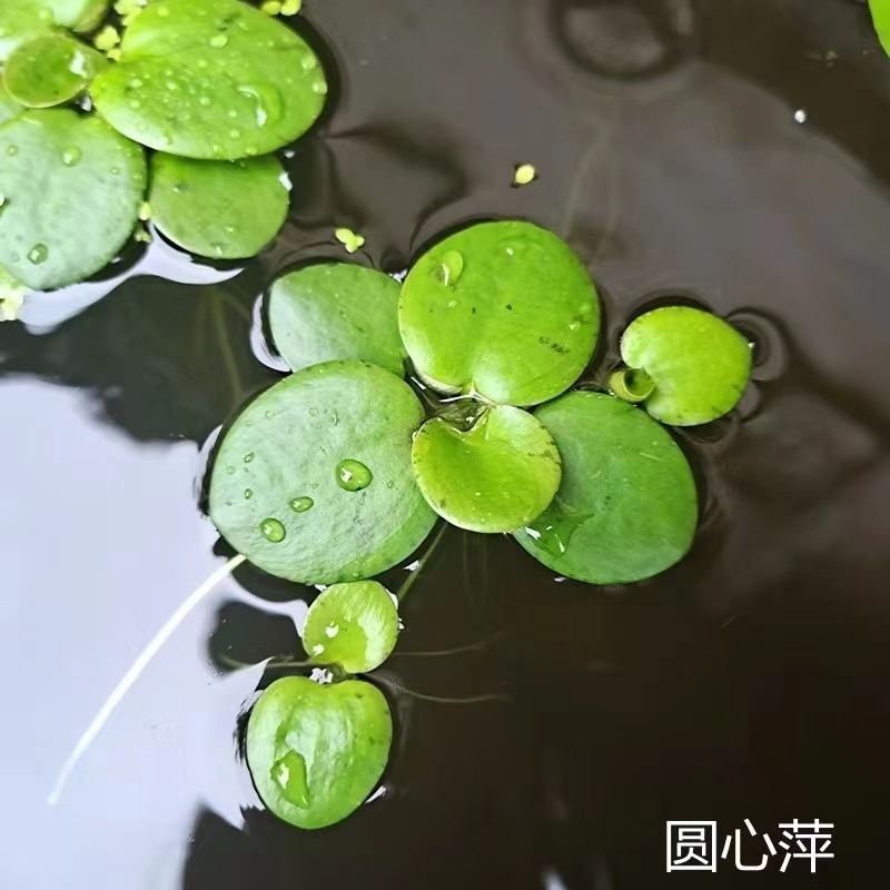 25684e44-4625-48e2-b066-16a385d49b69.jpe