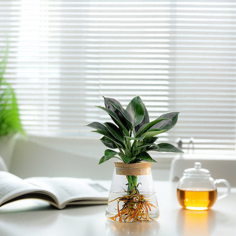 cc8a0fee-b80b-486f-bd4c-ddc027d9ff84.jpe