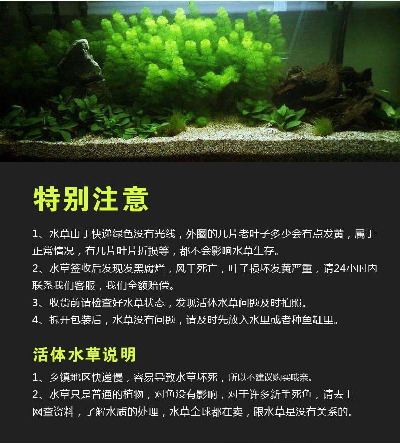 111bd3d5-f09d-474e-84ef-04d2fa0061ca.jpe