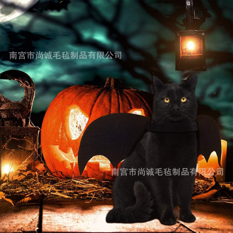 28-猫狗蝙蝠服装翅膀 (3)