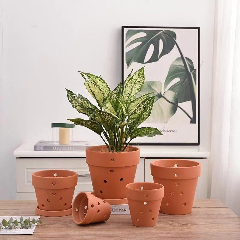 O1CN01uXQFlo2JdreOhAdVc_!!2214