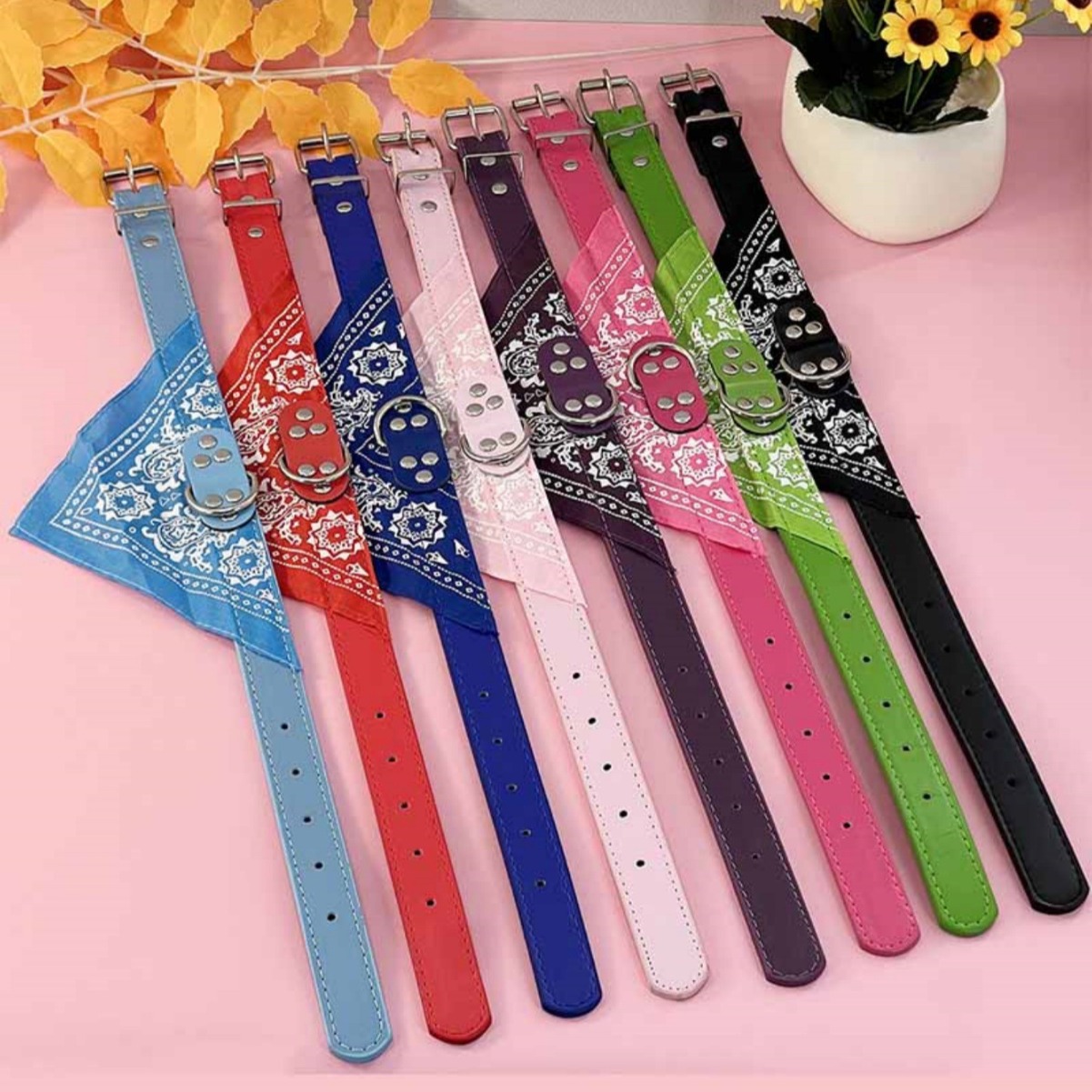 2024-06-12 20:37:59.jpg