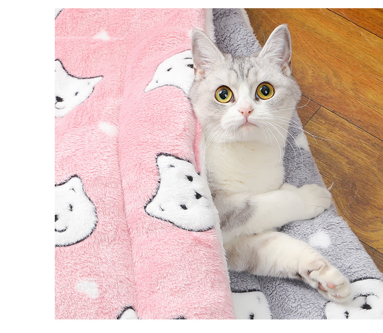 ea036766-6410-4a0f-8484-51deca426508.jpe