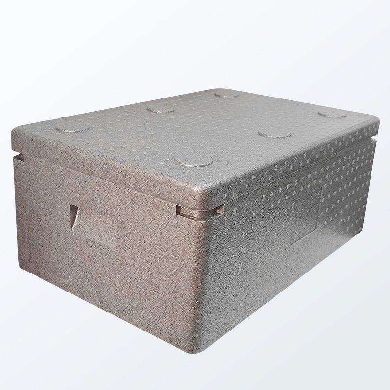 72703a42-ff88-4365-a796-e3fbcd4f3239.jpe