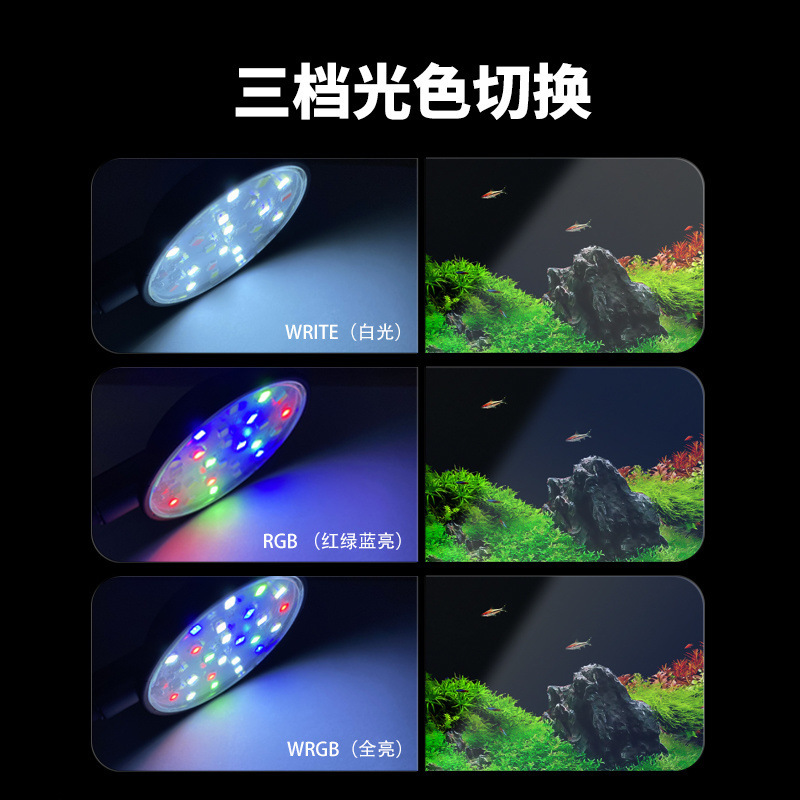 485734dc-aa6e-4dd8-9718-fa8b28935392.jpe