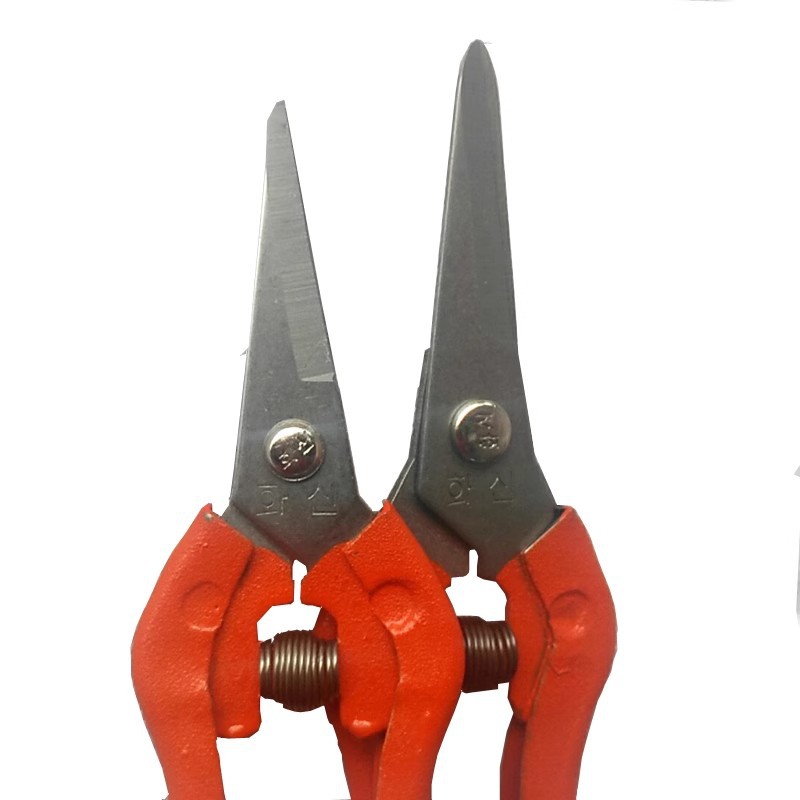 O1CN01XRJOcC1jTUDRUiNrE_!!2504