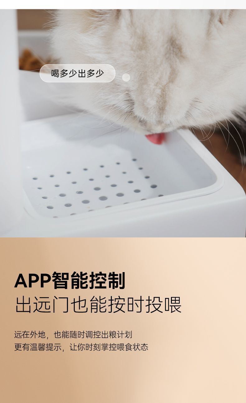 932870d7-6c34-490c-b9f7-b8959e629b23.jpe