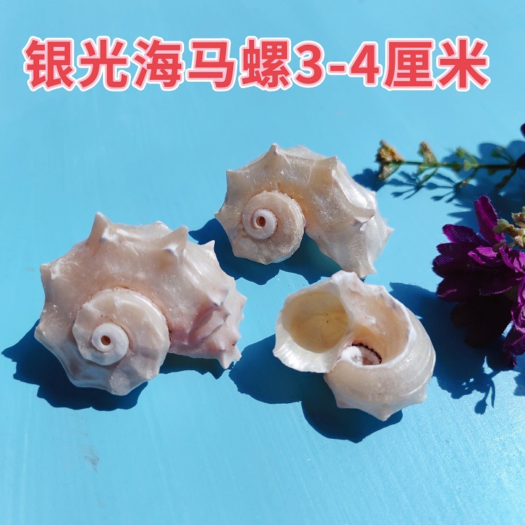 MEITU_20240830_101547874
