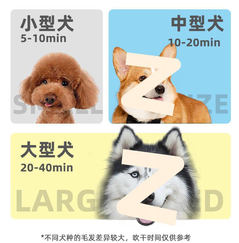 a68dd738-f0ec-45bf-ad6c-8c91c67f31c7.jpe