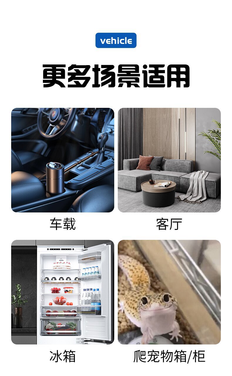 车载温度计_05_proc.jpg