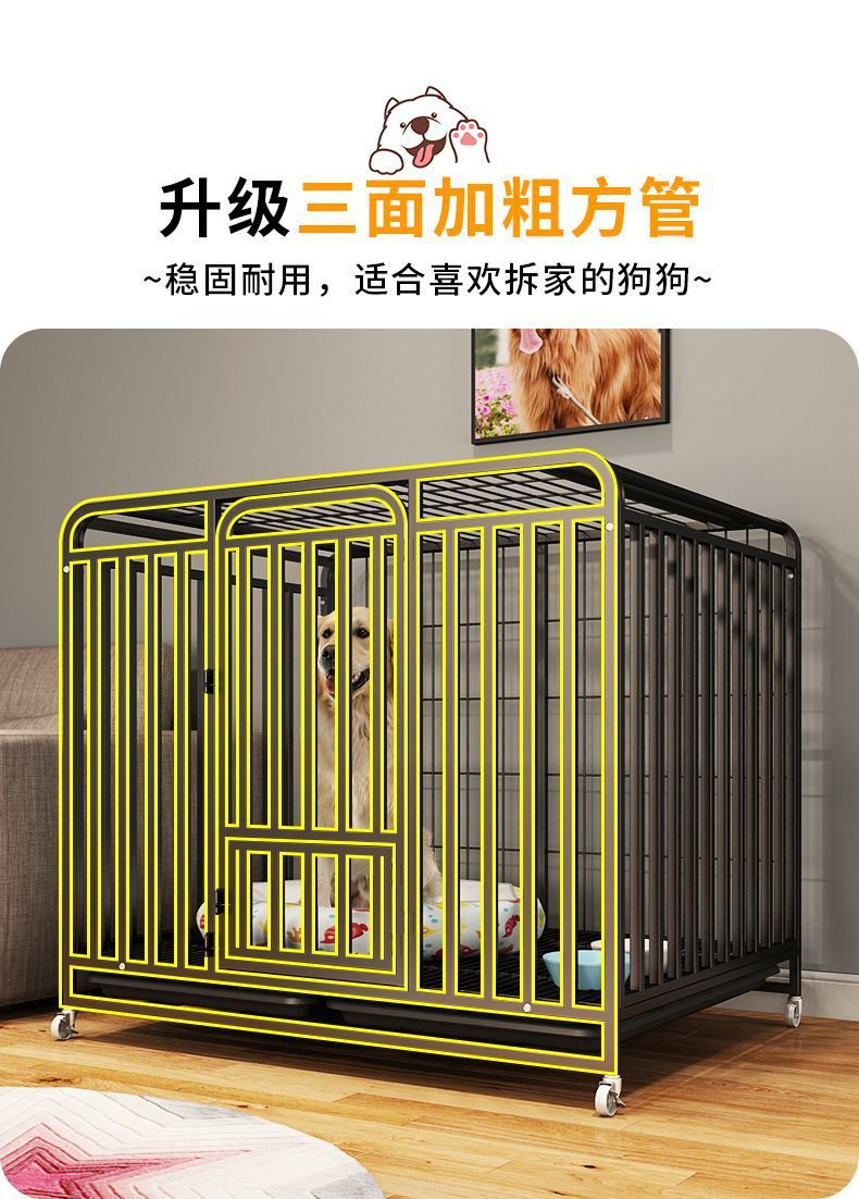 0fb2f2b8-eb6a-4362-a255-66217e2a3db3.jpe