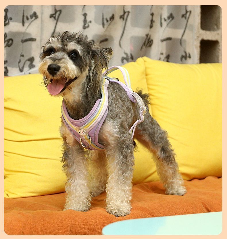 8a4770de-dbba-4f68-8a1b-c5e8b247b64c.jpe