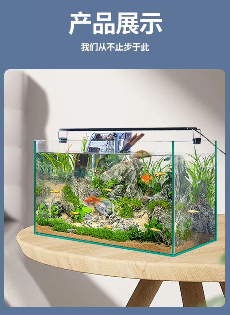 c8285843-9f06-48c6-824d-d78b4207ceff.jpe