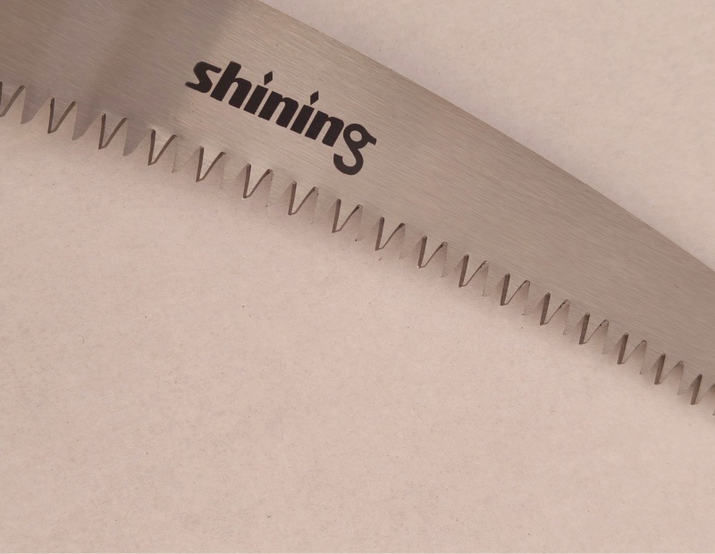 微信图片_20250113094808_副本