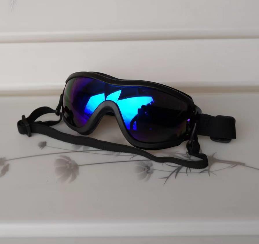 3dd6fe28-6175-408c-b9c4-ec3dbd9fea4f.jpe