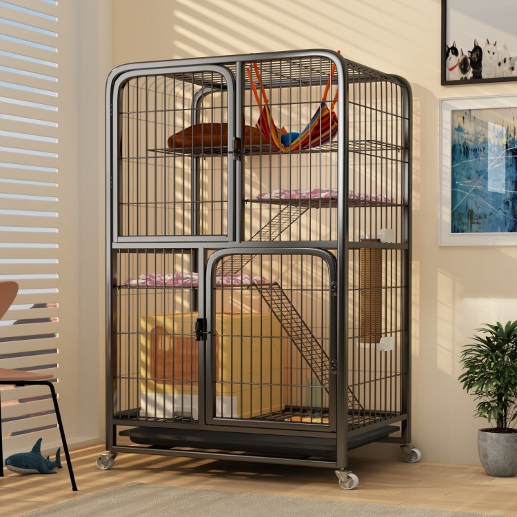 ff8e9069-a61e-45b1-8148-a4431e195fe3.jpe