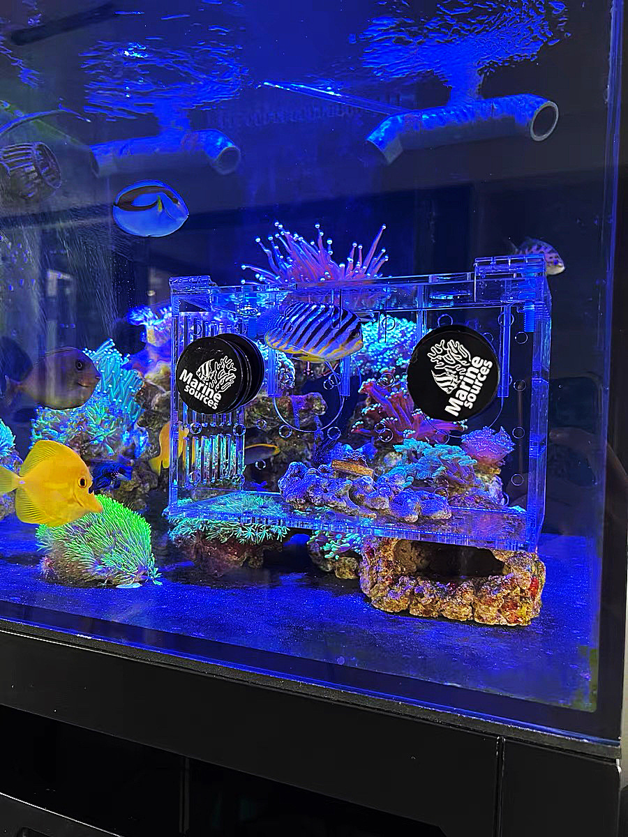 微信图片_20230813233831