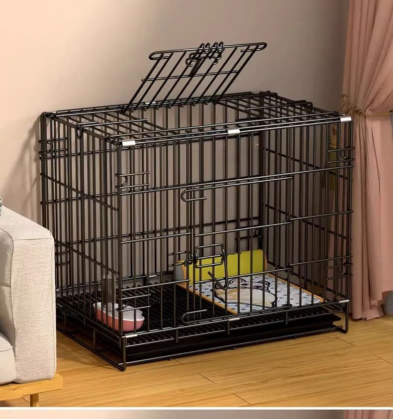 0123d53a-85ba-4712-9538-c7dc2ded9c28.jpe