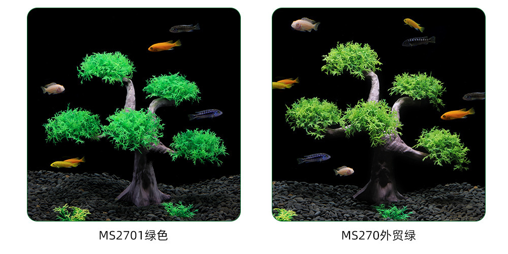 详情02.jpg