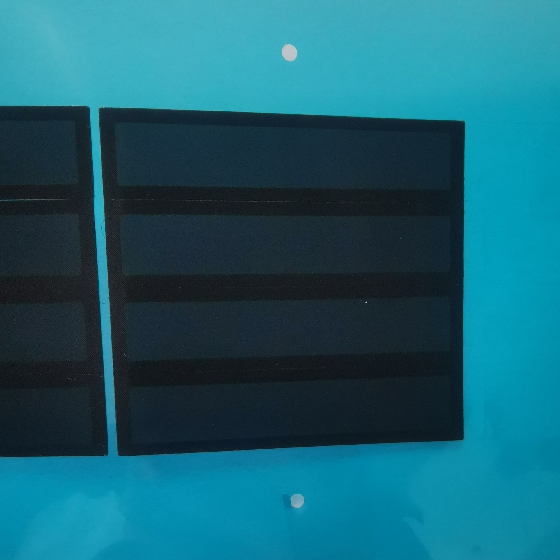 IMG_20240222_142817 (2).jpg