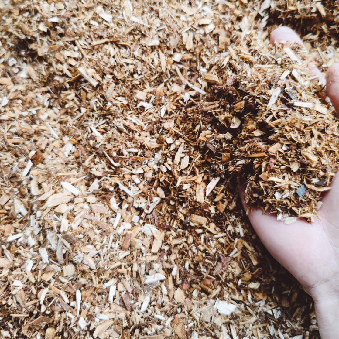 O1CN01EbuOVF20iT6hRXhsK_!!2218480426883-