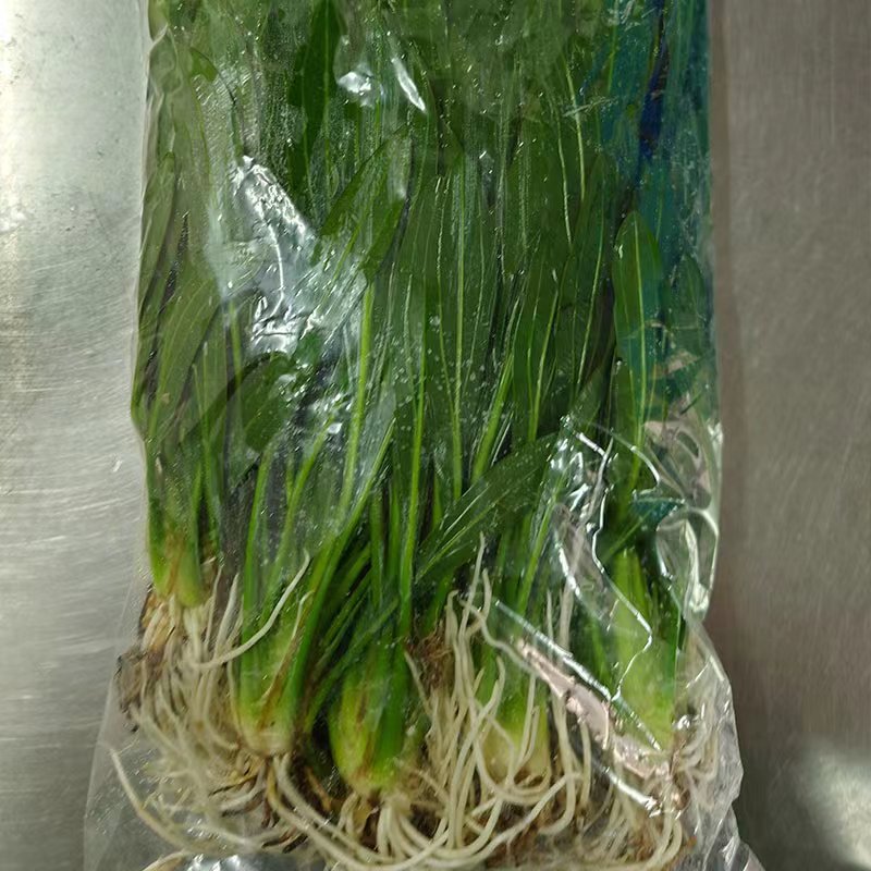 faf314edf69ffb7df75276cfa5c5dd