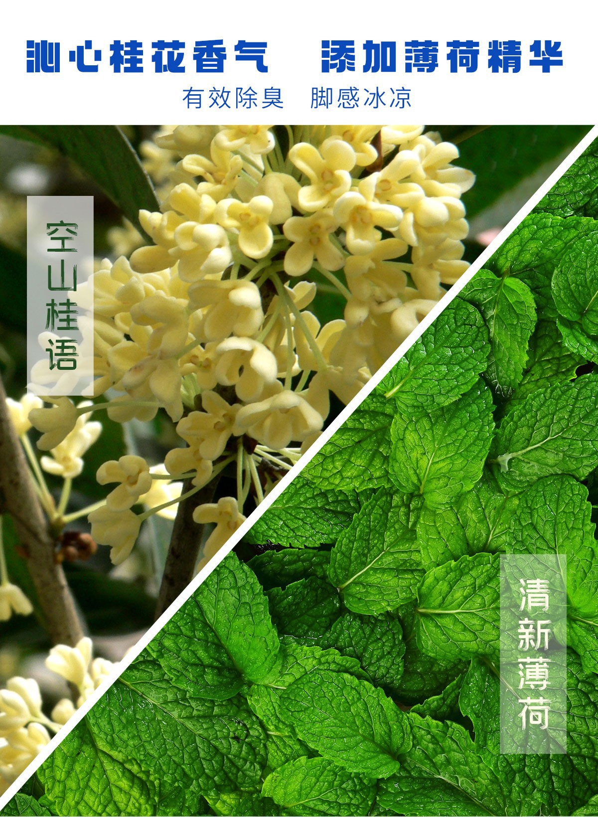 /O1CN01EchvNi1J8G71LsHvs_!!2210830060983-0-cib.jpg?r=1662543566925