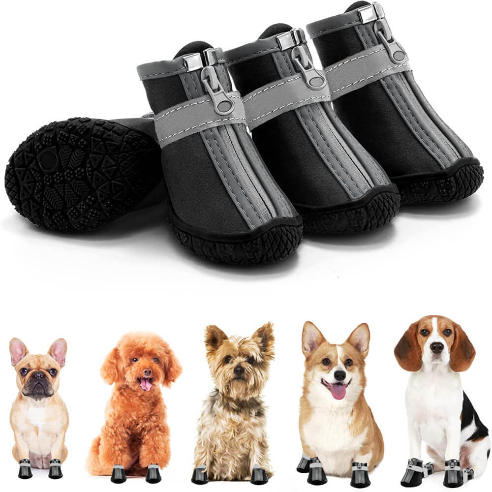 dog shoes (6).jpg