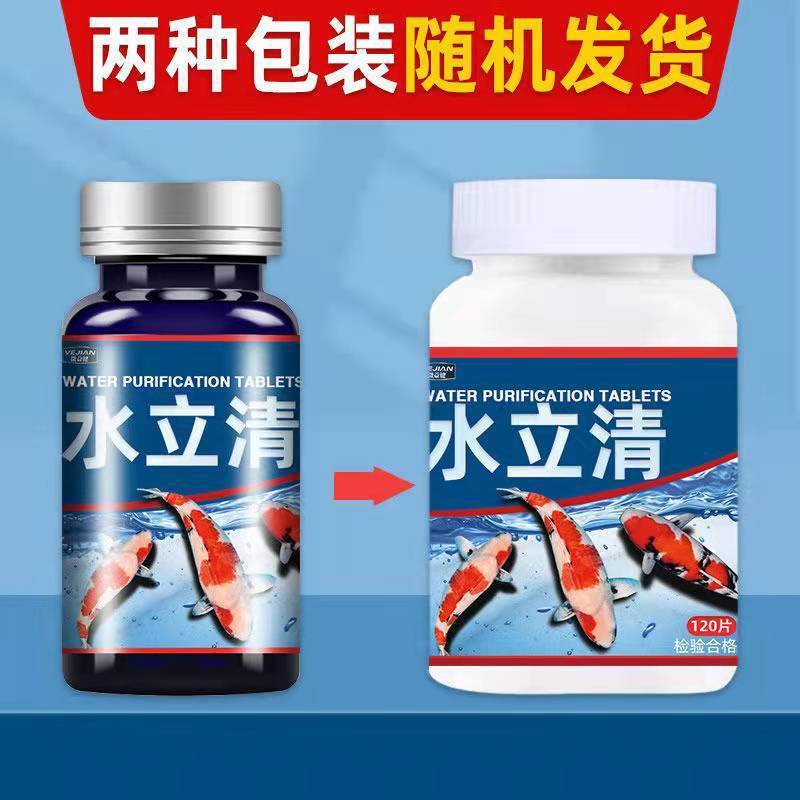 05a3b748-fe0e-4e05-8e60-3c78b2ec2cc3.jpe