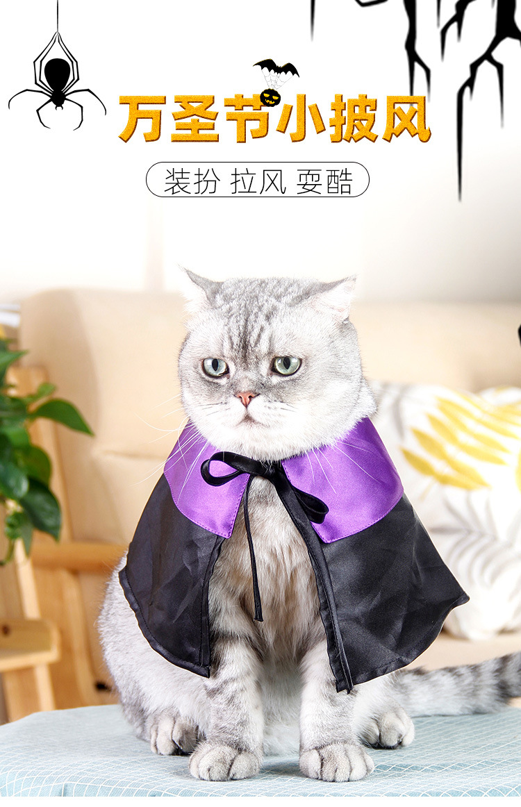 详情1.jpg