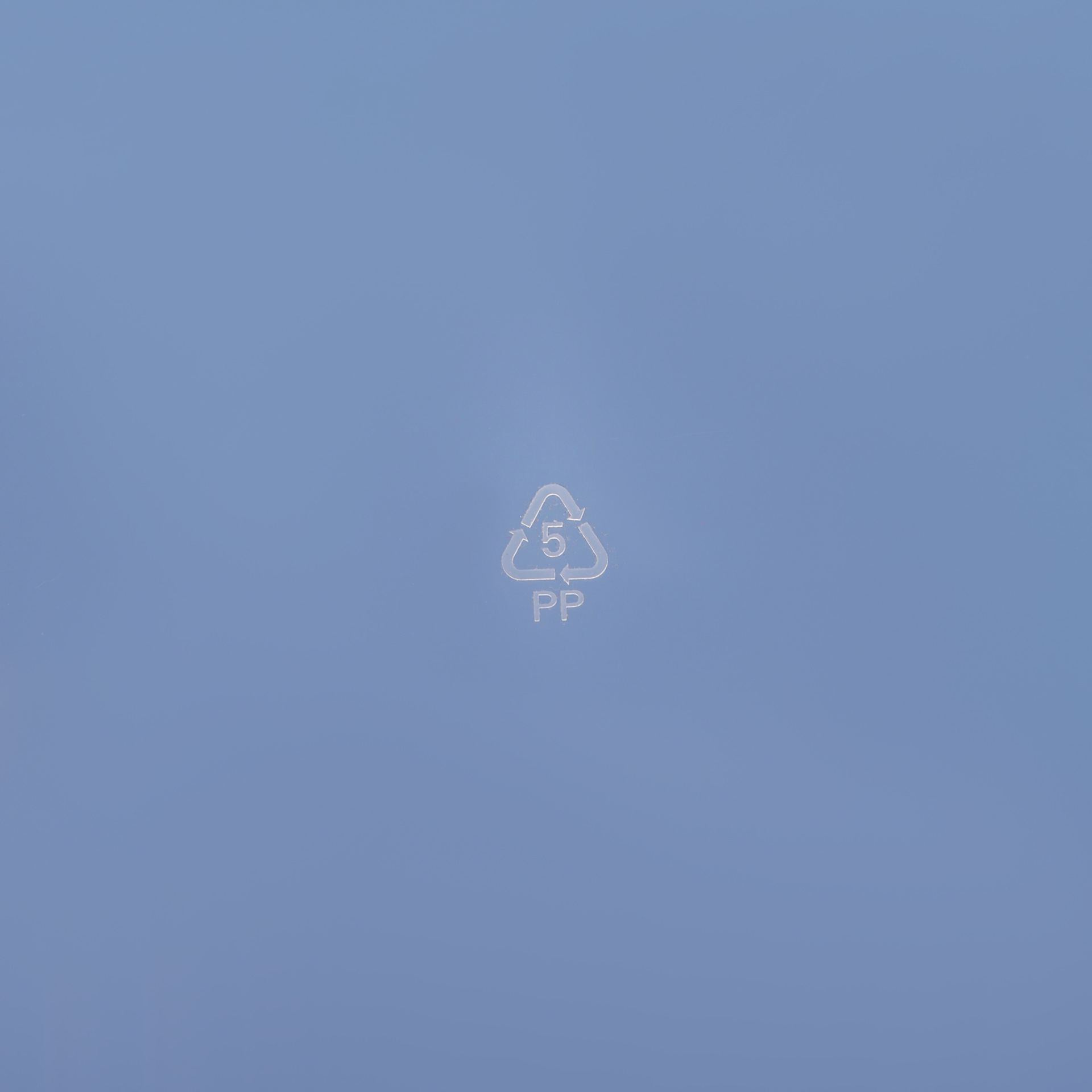 2Q7A8838_1