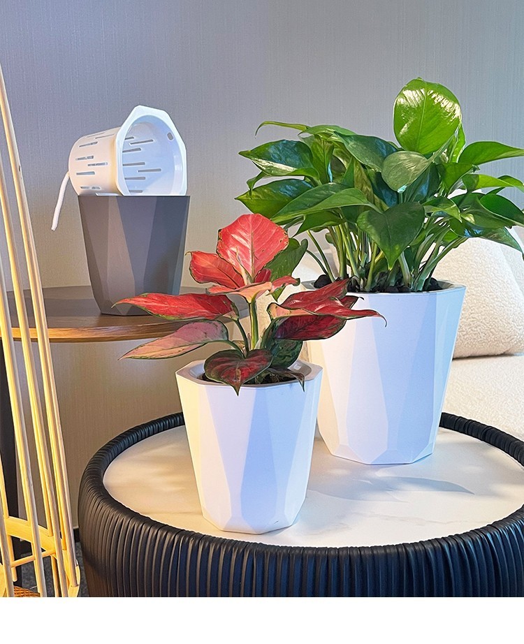 03a9e3bf-f80b-4bfd-b8b1-579d5b404664.jpe