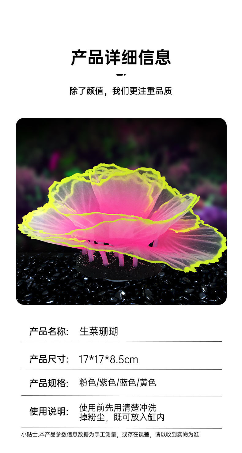 生菜珊瑚详情_06.jpg