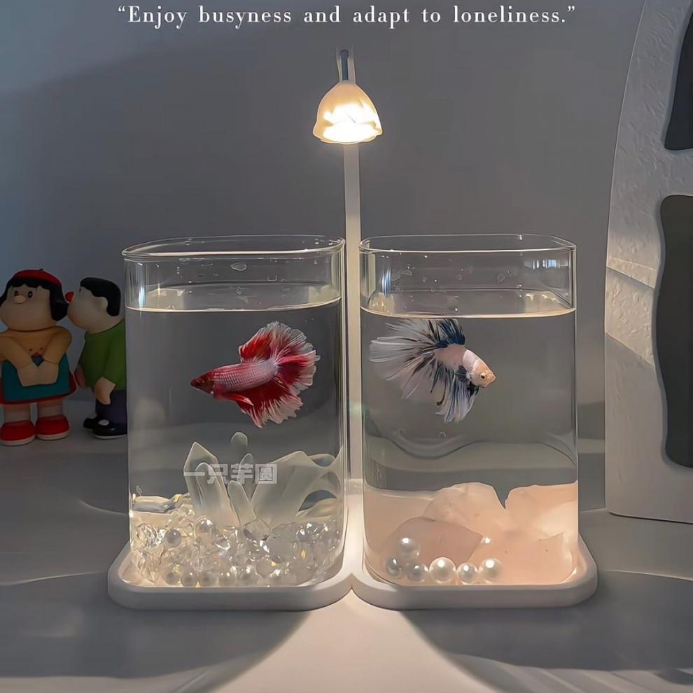 89bf50d1-5e40-41be-b016-a6ee2b8b9e60.jpe