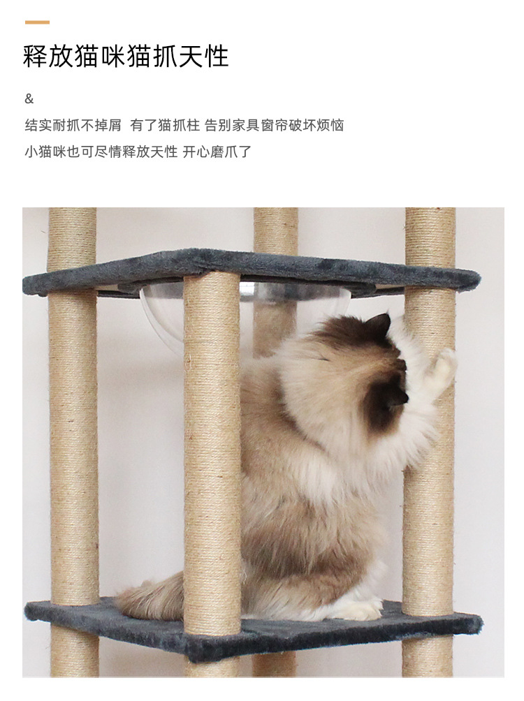详情页_12.jpg