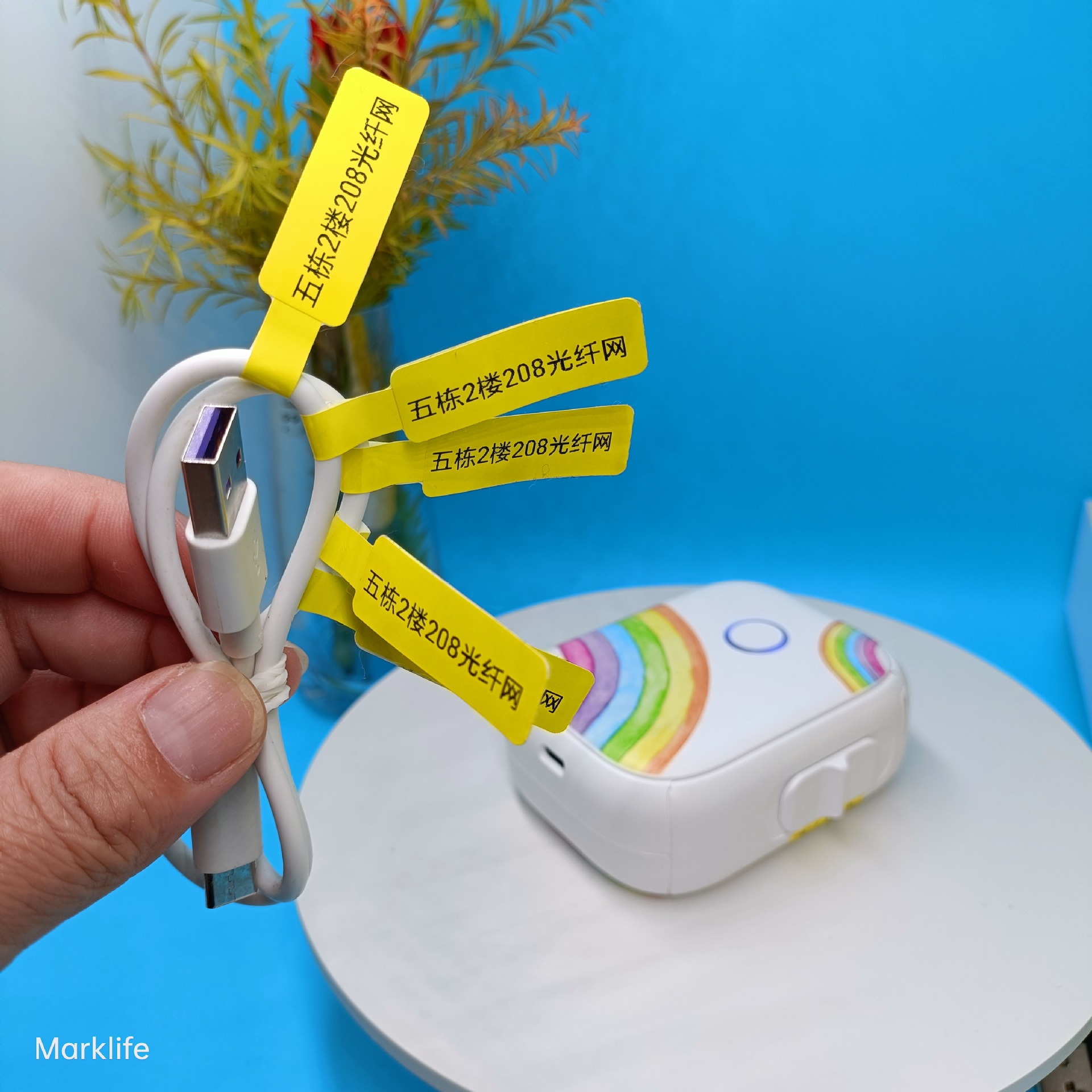 P12动态1107 (8).jpg