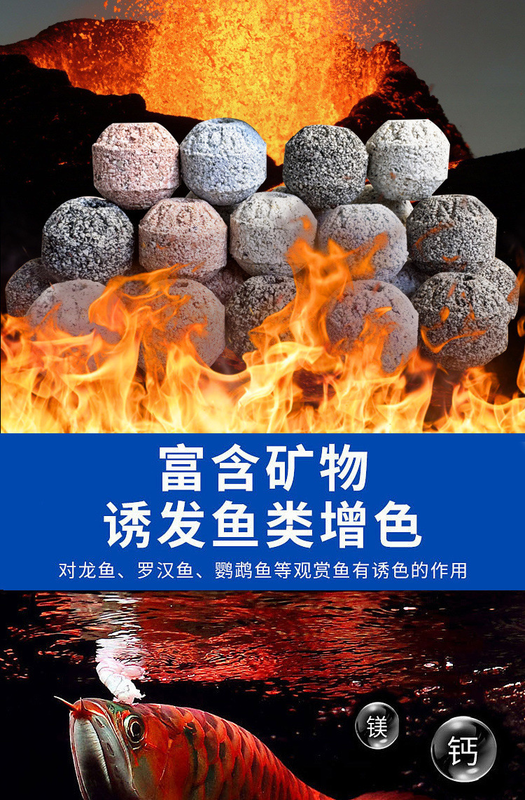 97129504-582c-460a-b6e5-e39a8b832aed.jpe