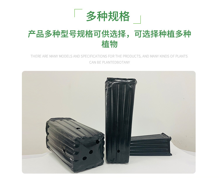 柑橘杯,营养钵,育苗袋