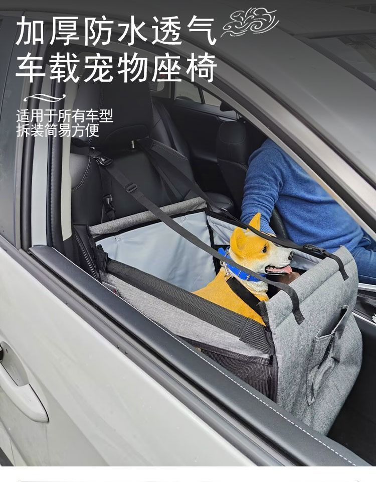 01dfd498-024e-49d2-a278-63929721300e.jpe