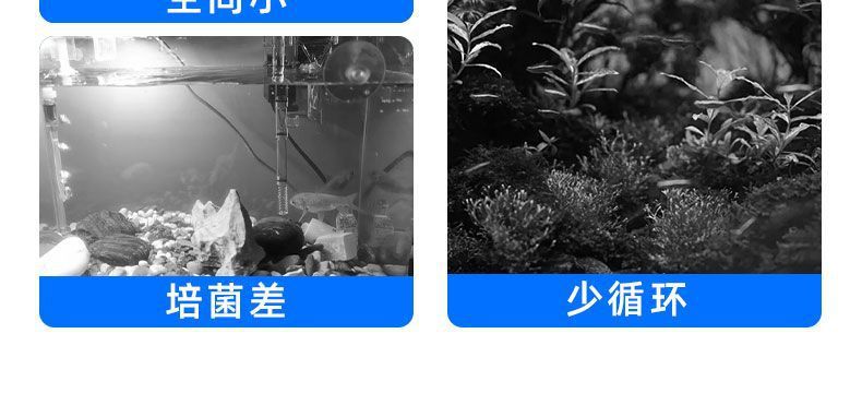 9d53f38e-fe3b-4840-982b-bd121eca75b5.jpe