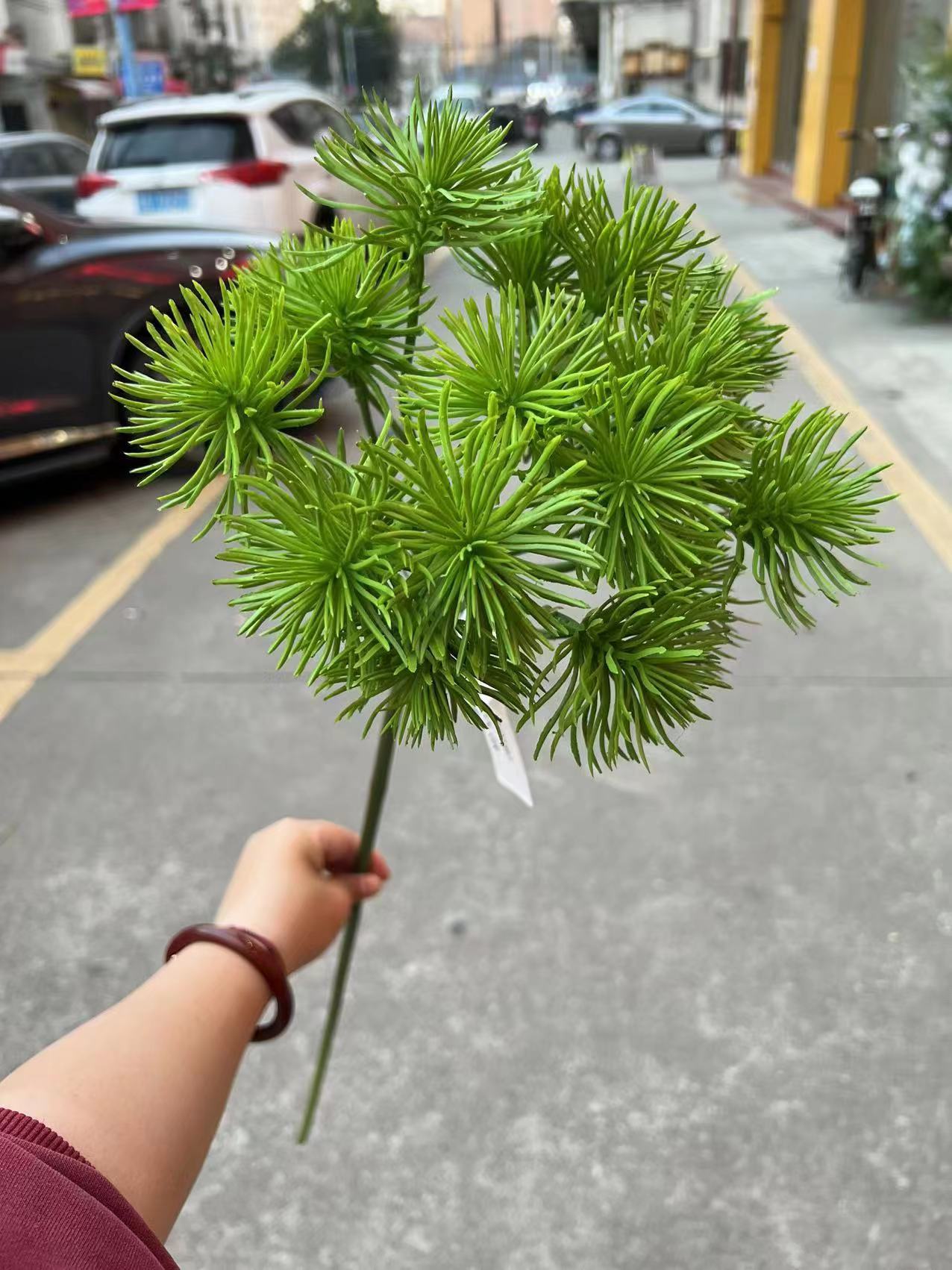 微信图片_20230319113514