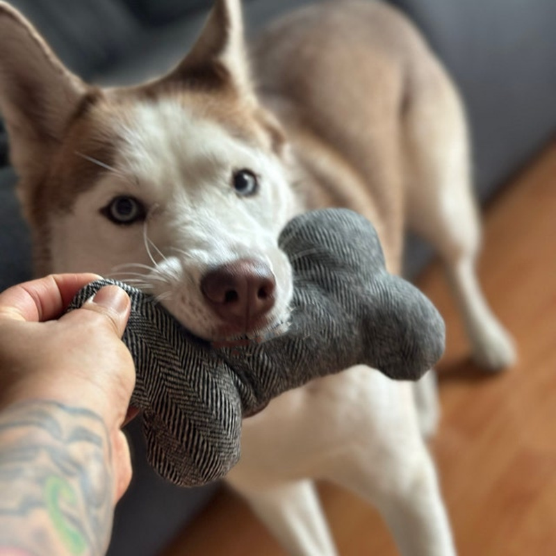 38728d25-665a-4269-95e4-ec8461